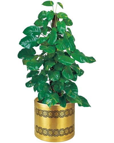 藝術(shù)花盆（砂紋鈦金）